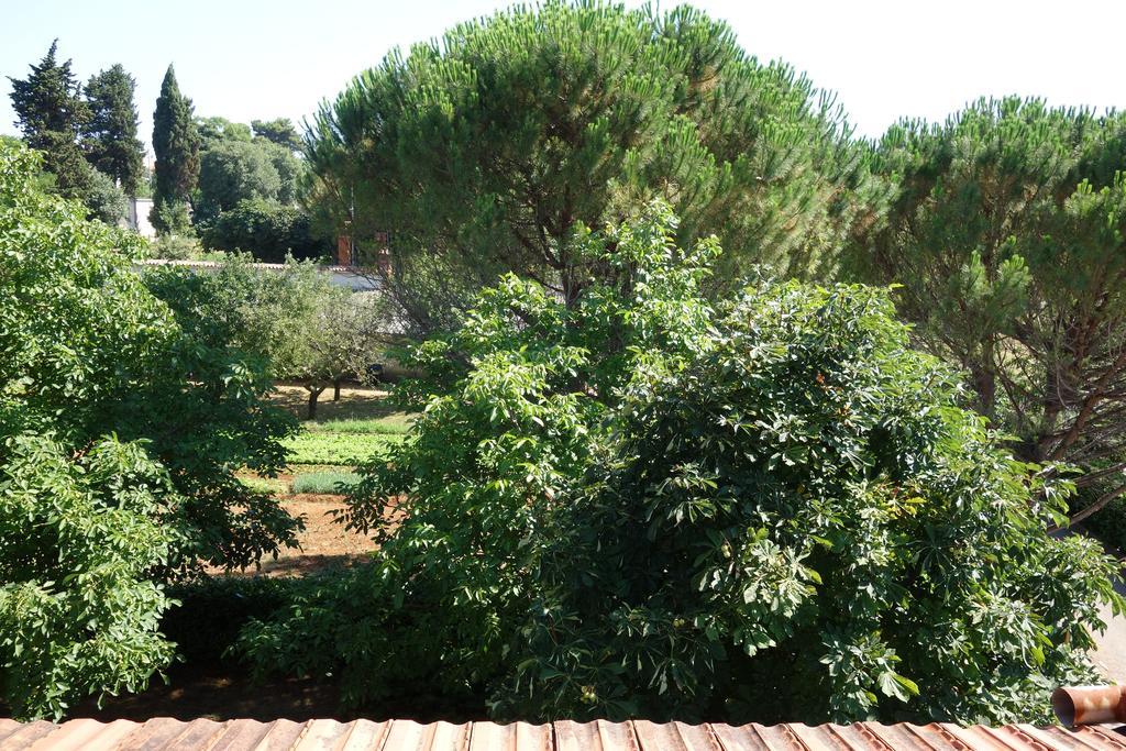 Apartment Blaskovic Pola Esterno foto